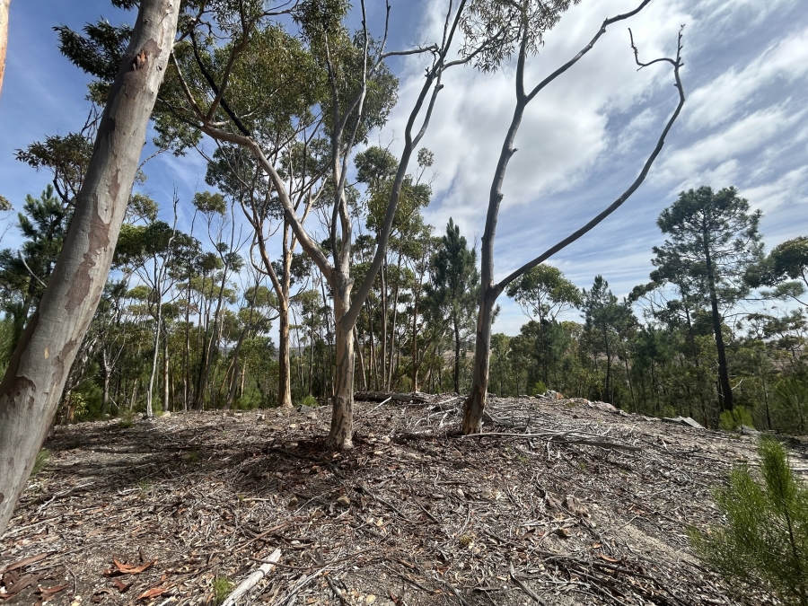 0 Bedroom Property for Sale in Napier Western Cape